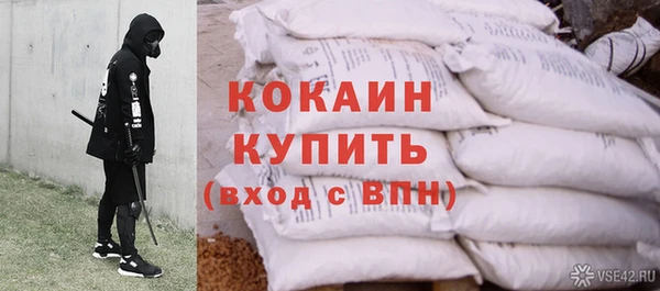 Альфа ПВП Алзамай
