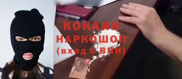 бошки Алексин