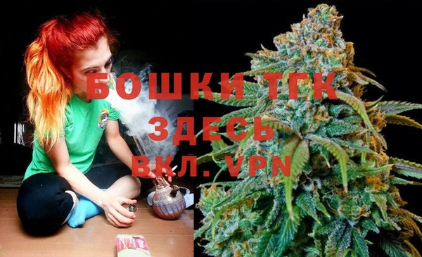 бошки Алексин
