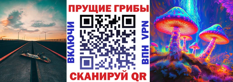 Галлюциногенные грибы Psilocybine cubensis  Пенза 