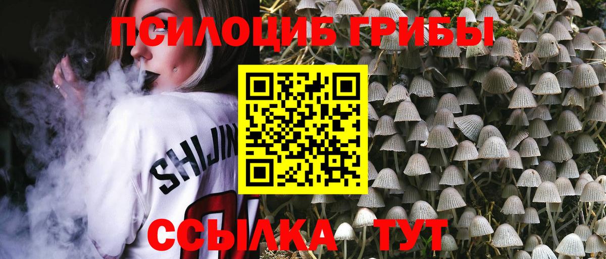 Пенза  Галлюциногенные грибы Psilocybe  Вход с VPN  Псилоцибиновые грибы прущие грибы 
